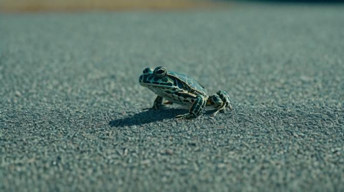 A picture of unique.