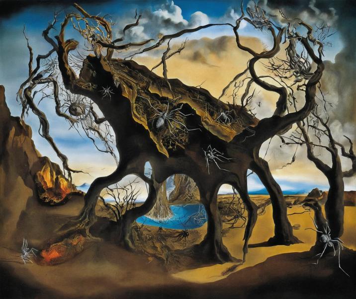 volcano above inside a thicket of interwoven branches, spiders spinning