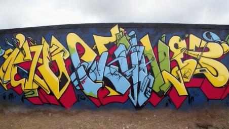 penis