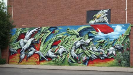 Bird farting,