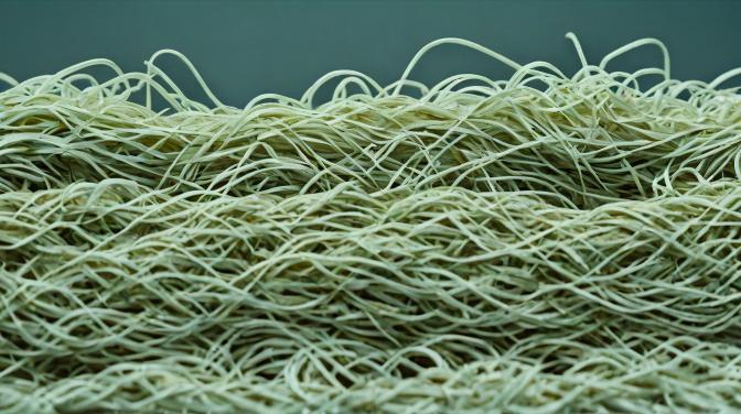 Gros plat de nouilles !