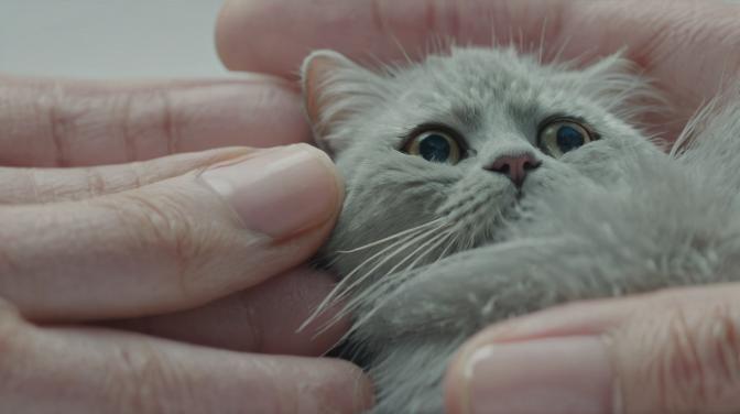 Fingerfuck my pussy.