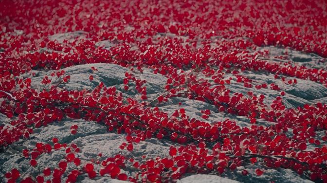 Red things bring happiness.