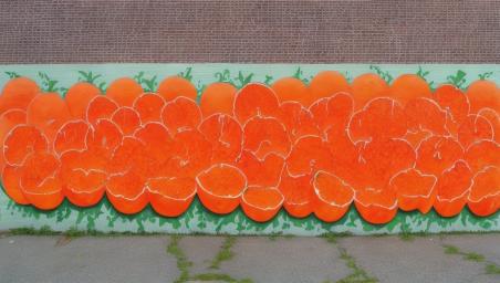 a lot of oranges