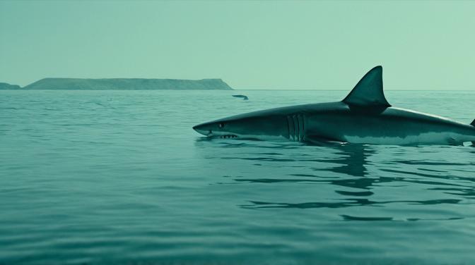 A shark that's Superman.