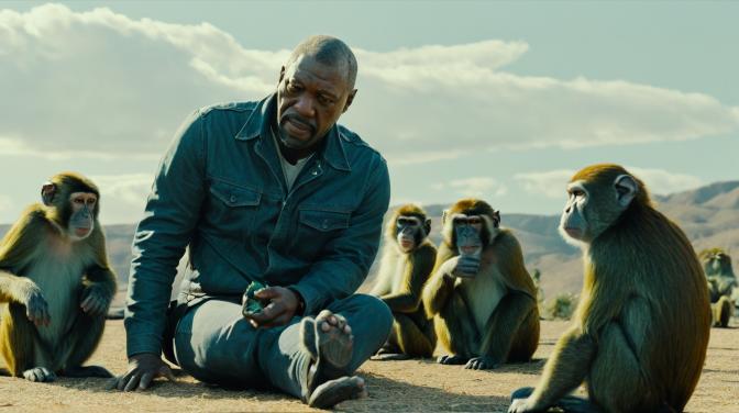 George Floyd playing with a bunch of monkeys.