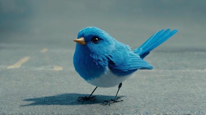 The blue bird has an ownie with wings.