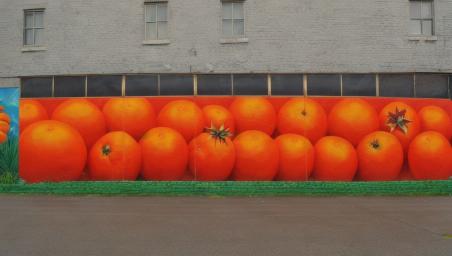 A bunch of oranges,